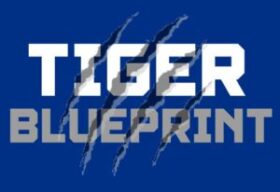 Tiger BluePrint